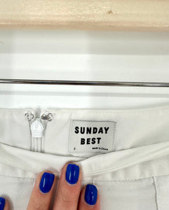 Aritzia Sunday Best pleated mini skirt